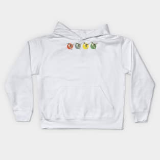 The Hummingbird Dance Kids Hoodie